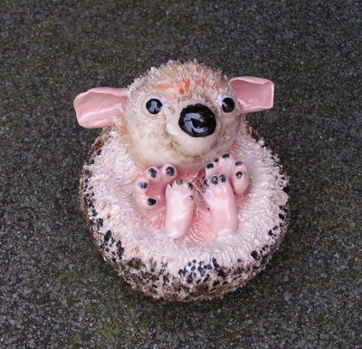 'Hedgehog'.jpg