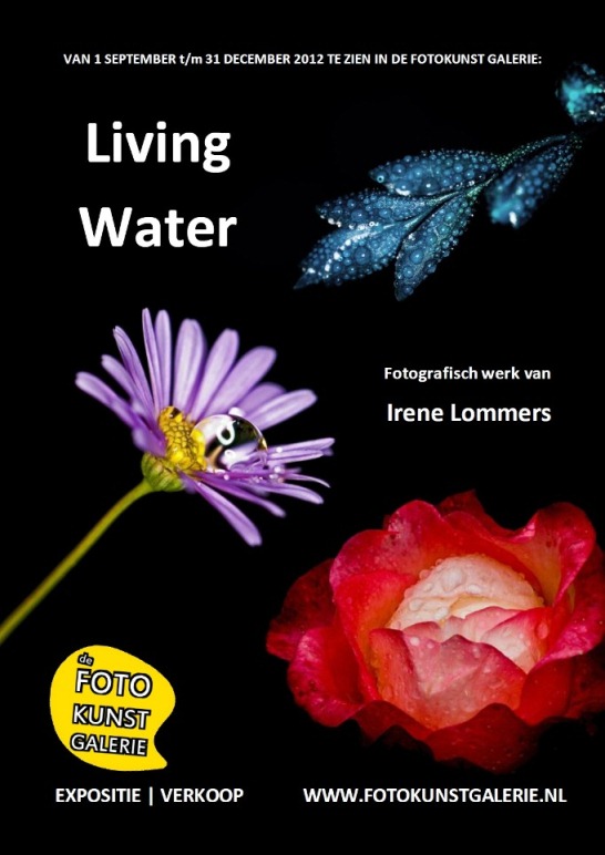 Flyer Expositie Irene Lommerskl.jpg