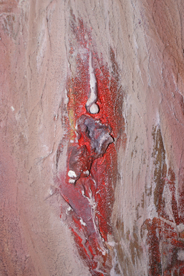 Organic spaces,  detail verfhuid.JPG