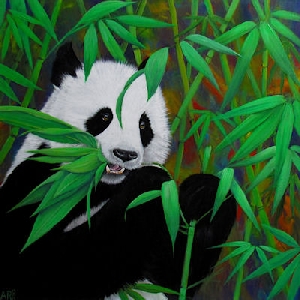 W12 PANDA - Acryl op doek - 60x60 cm-.jpg