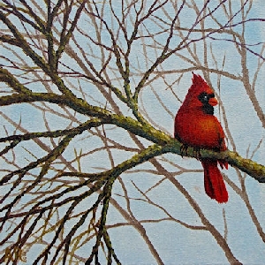 BI-10 KARDINAALTJE - acryl op doek 24x24 cm.jpg