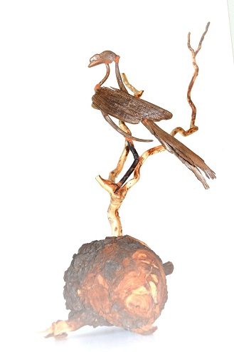 neushoornvogel 35 x 50 x 25.jpg