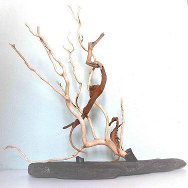 zeepaardjes 70 x 70 x 25.jpg