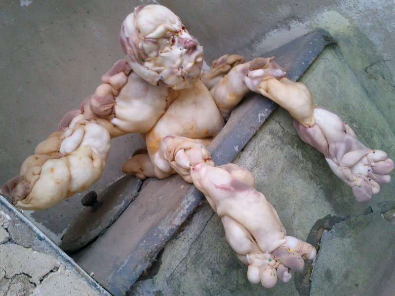 Droomreis Abcoude 131.jpg