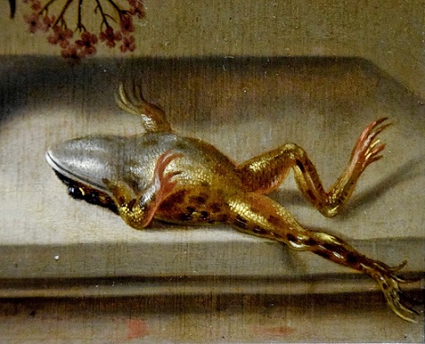 Jacob Marrel - Stilleven met dode kikker (detail).JPG