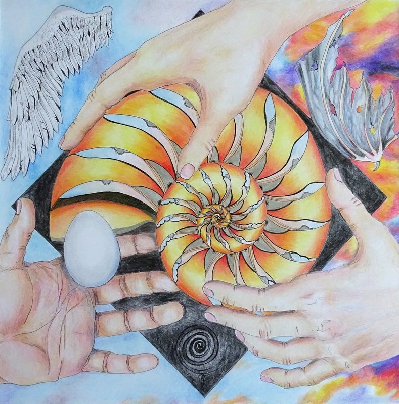 Het geschenk van het leven-Choises.jpg