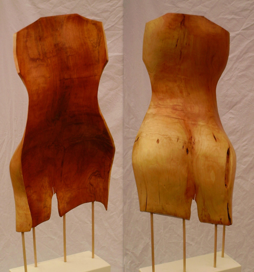 Torso 2010.jpg