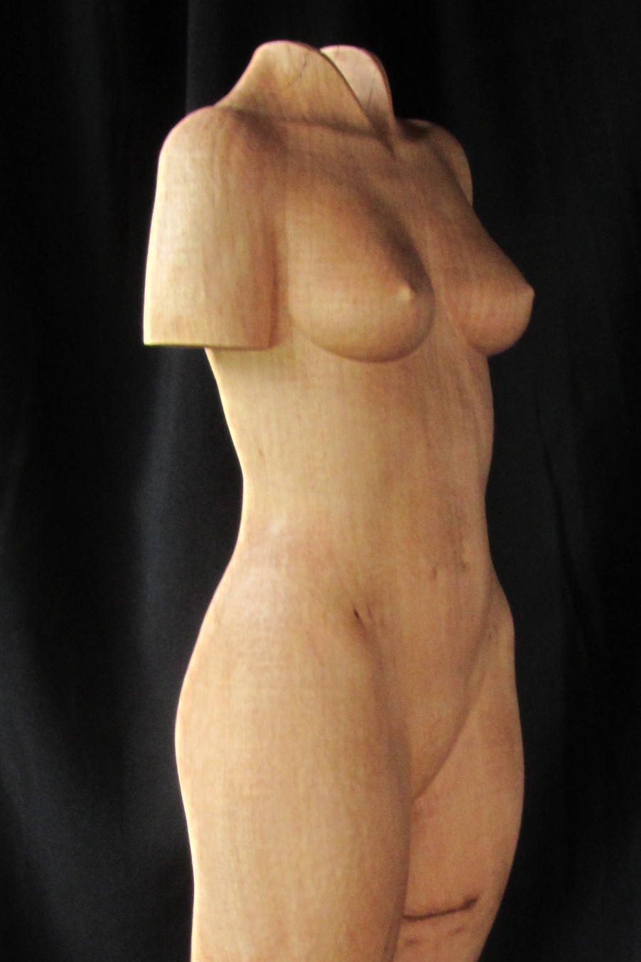 Standing Nude #2 Vrouwelijke tors front-side detail