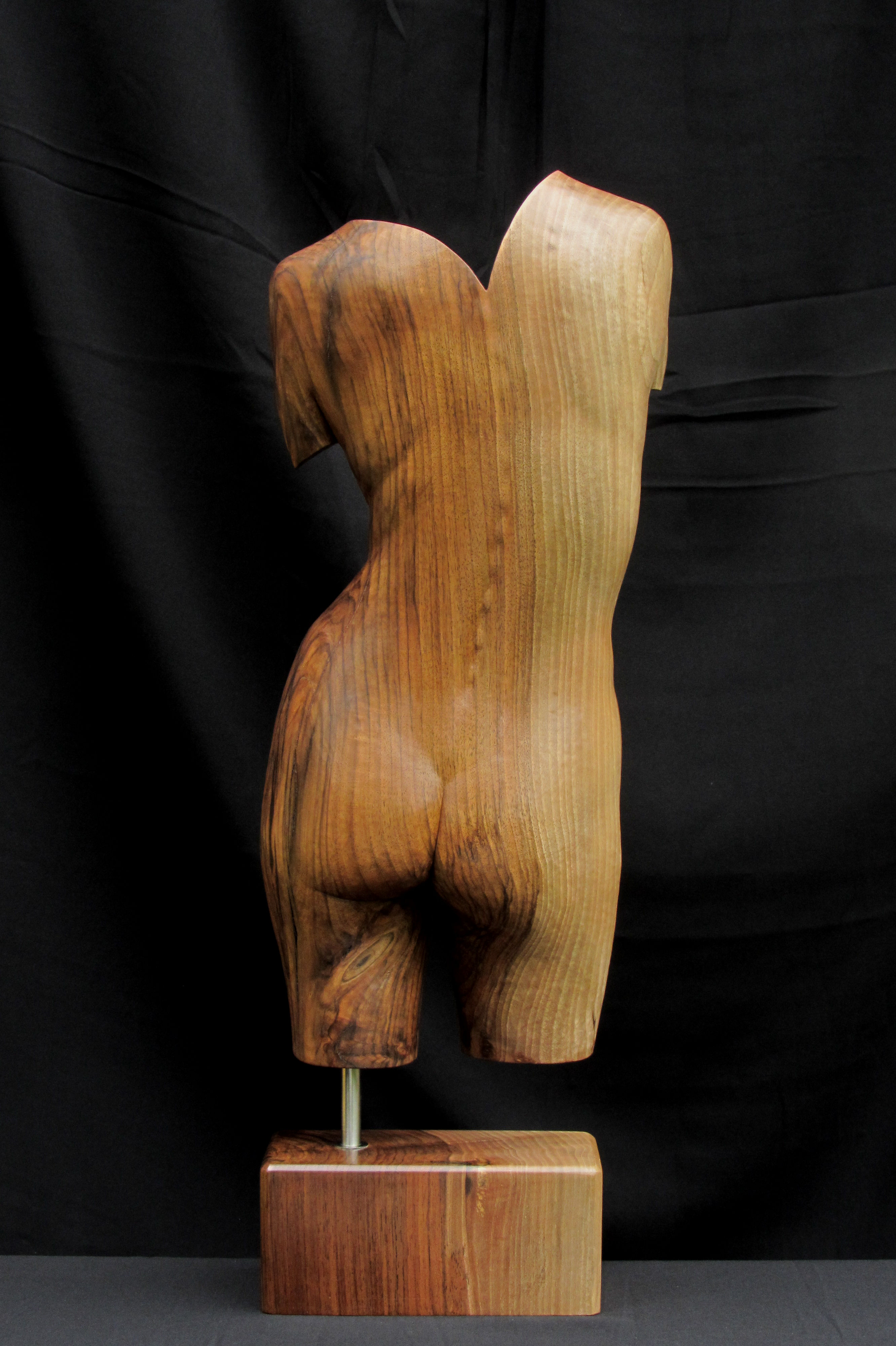 Torso in relief #2, human wood sculpture, female torso, frontside complete