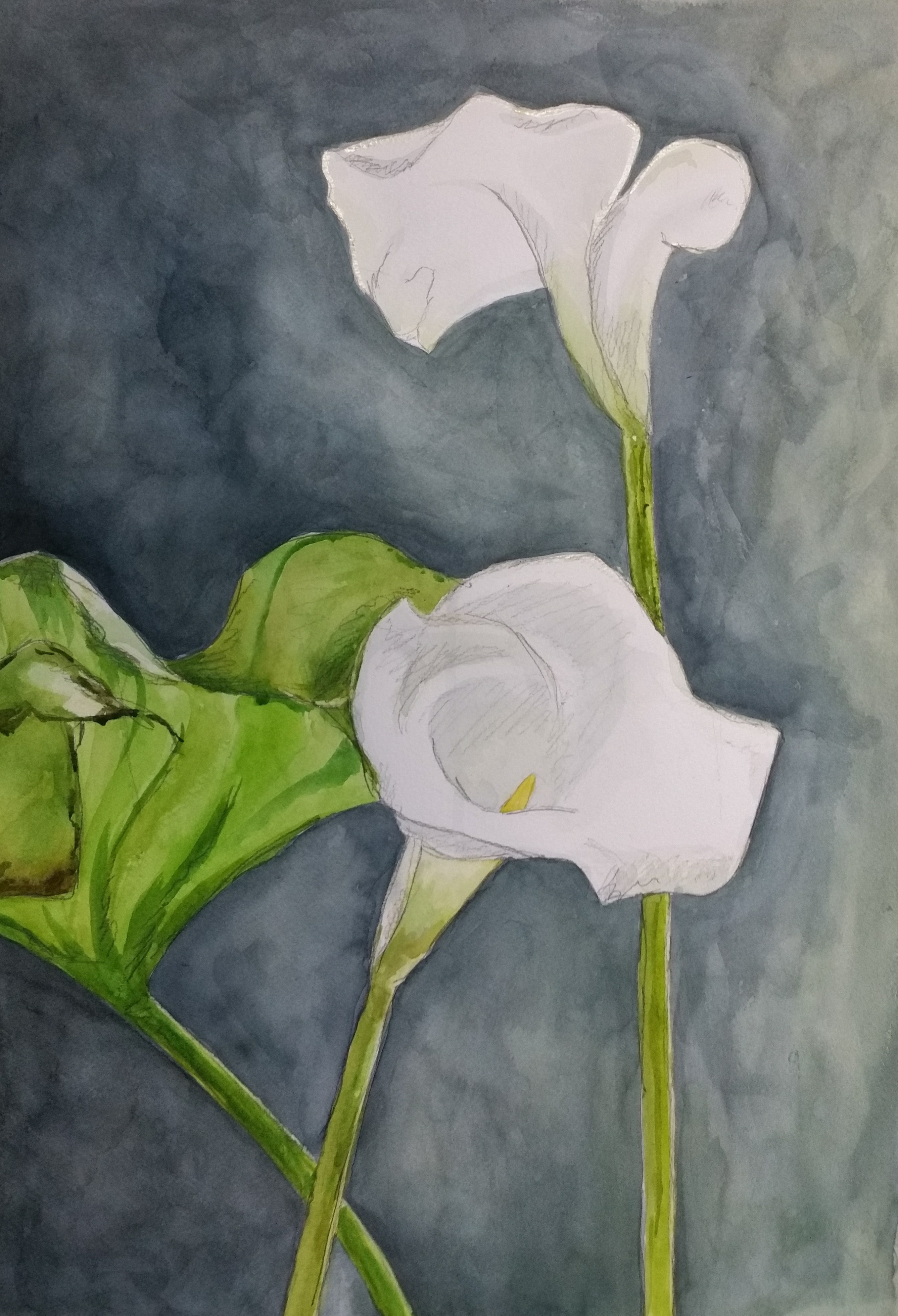 Paneel: rechts boven