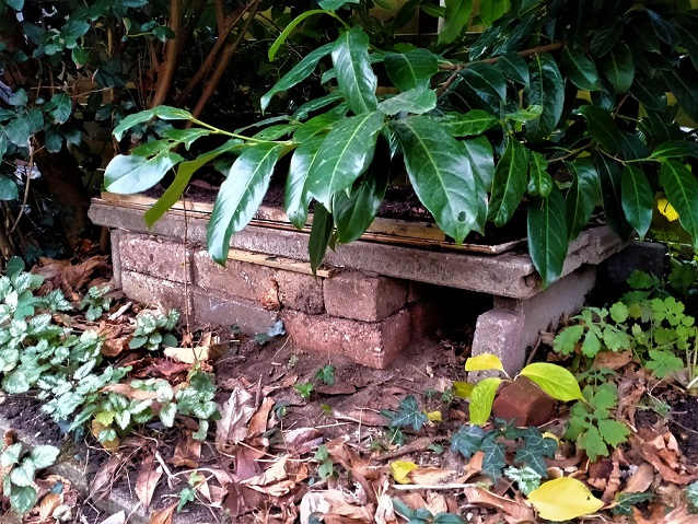 Egelbunker