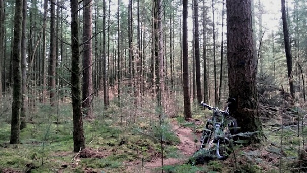 mtb in de bossen