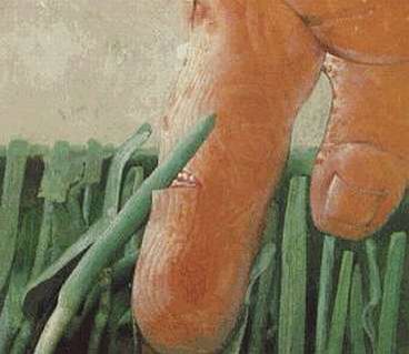 Snijden aan gras Co Westerik