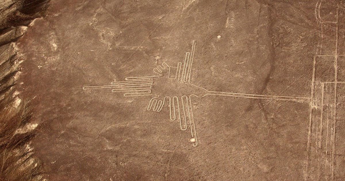 Hummingbird. Nazca-line
