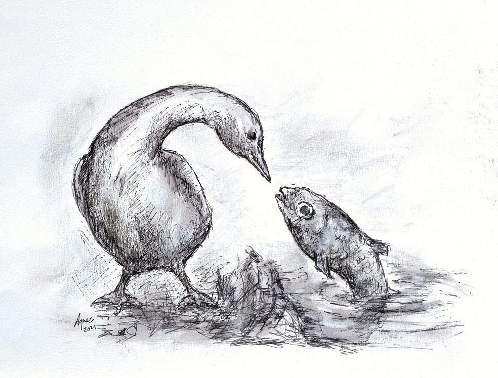 Een tekening uit het boek