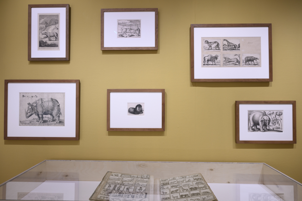 '(…) Illustraties spelen in de Historia Animalium van Conrad Gessner een bijzonder belangrijke rol. Voor het eerst in de Europese geschiedenis werden ze in groten getale ingezet om de lezers informatie te verschaffen en ze een beeld te geven van dieren die ze in veel gevallen nooit in levenden lijve zouden zien. Naar schatting zijn voor alle edities die tijdens Gessners leven zijn verschenen ongeveer 1200 houtblokken gemaakt. (...)' bron: DBNL.