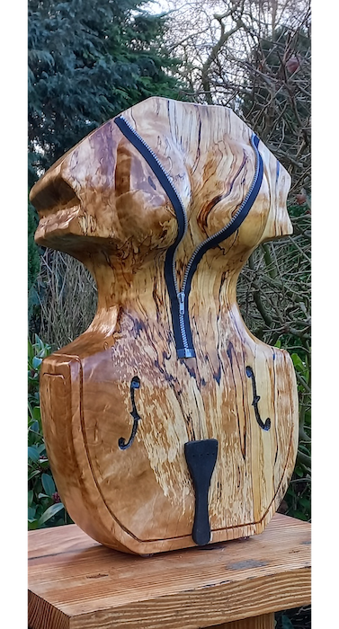 The Muse & The Cello - Dolf Bierhuizen