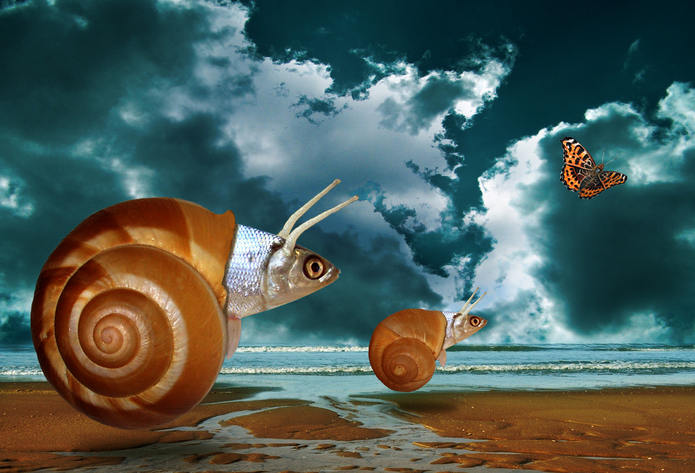Strandrace – 2012 – Digital Art Ine Tresoor