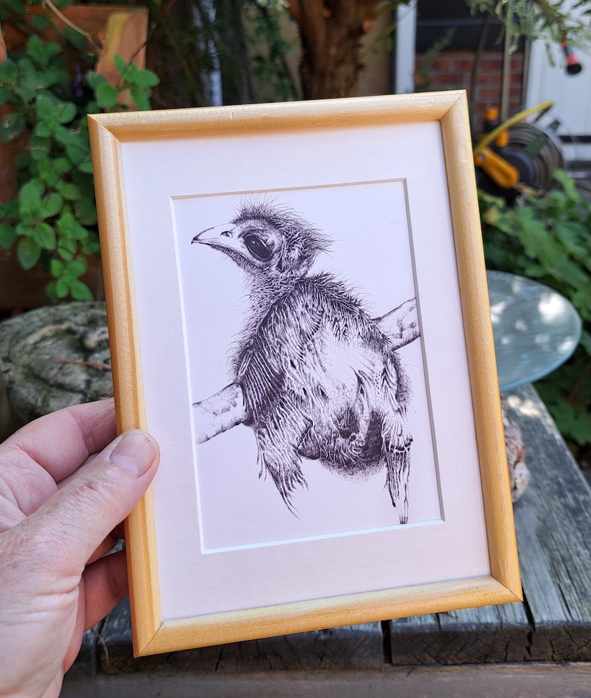 Jonge Ani - Ineke Smienk