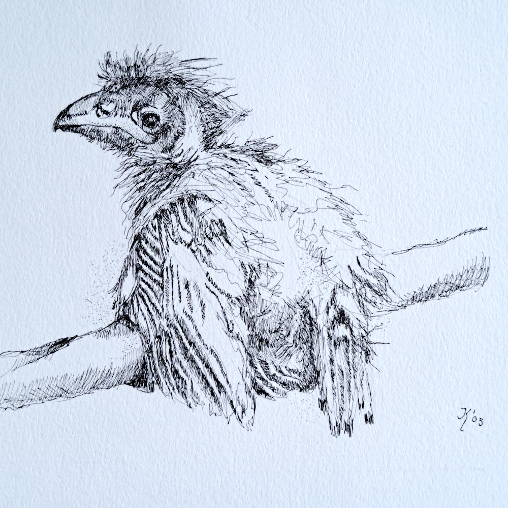 Jong Vogeltje - Ineke Smienk