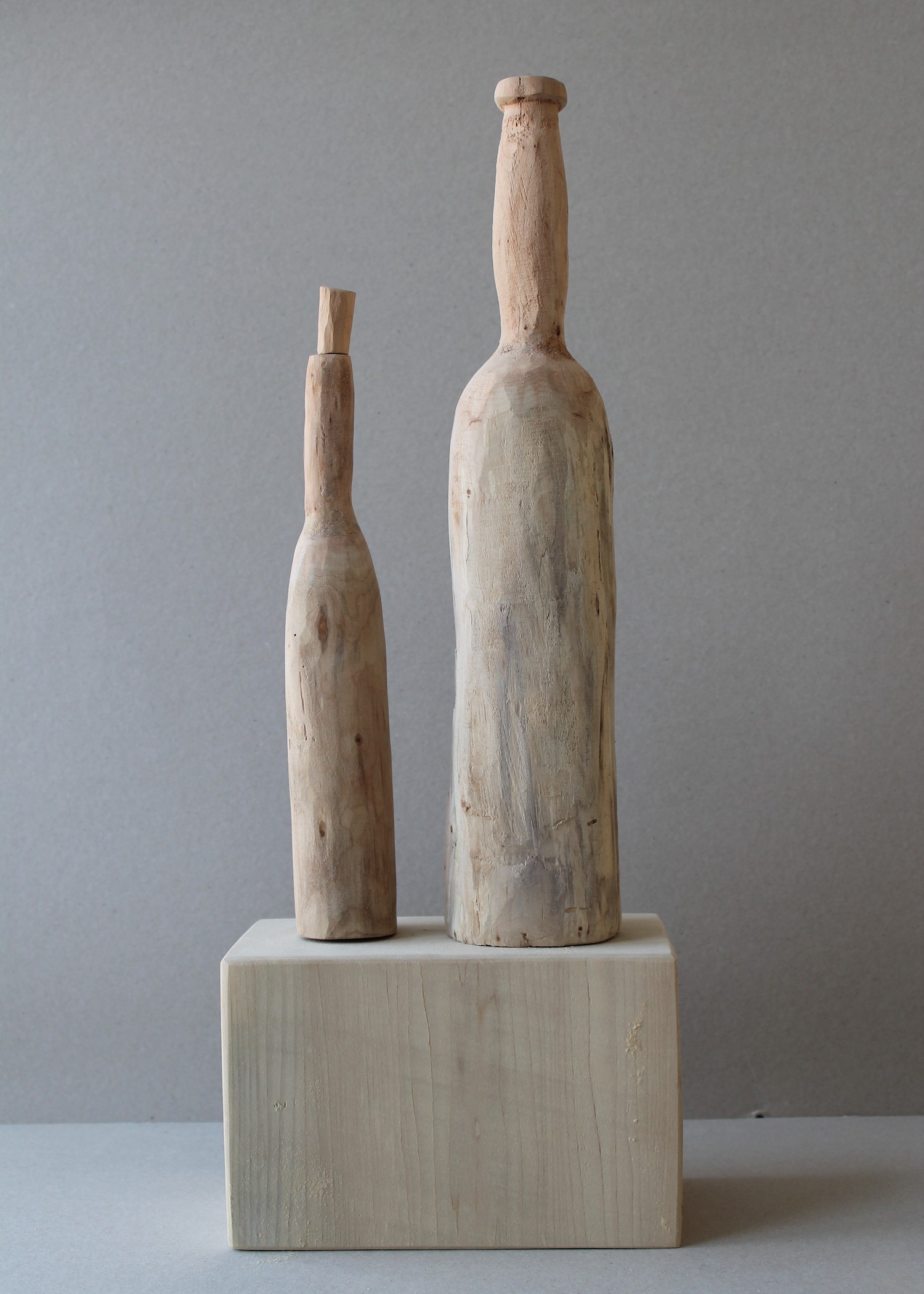 zt 2014 13 - Irma morselt