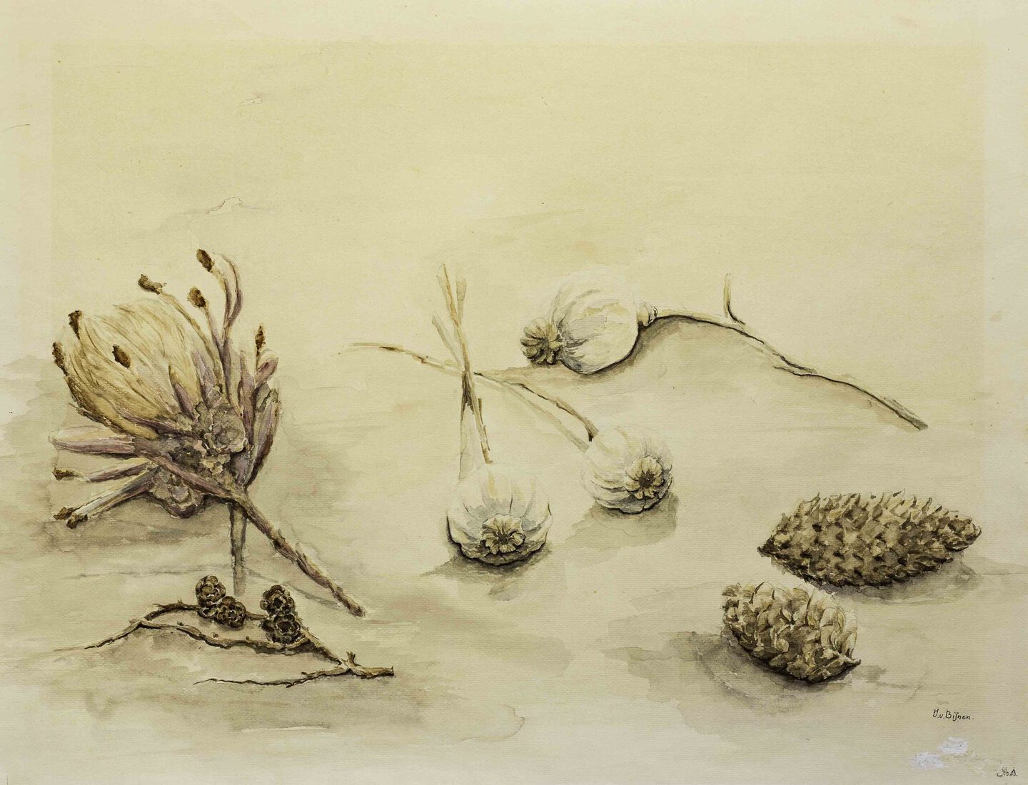 Verstild - Isabel van Bijnen