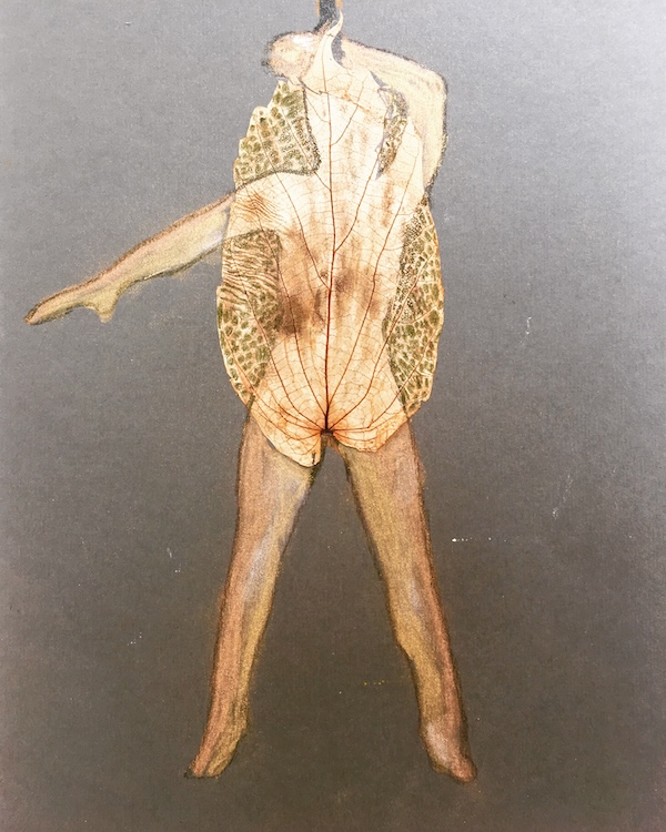 Zie mij - Jacolien de Jong