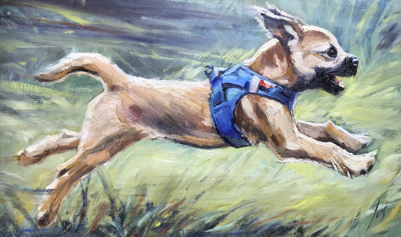 Woody running - Jos Antens