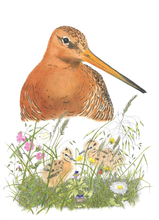 Fam. Grutto - Hanneke Messelink-Anders