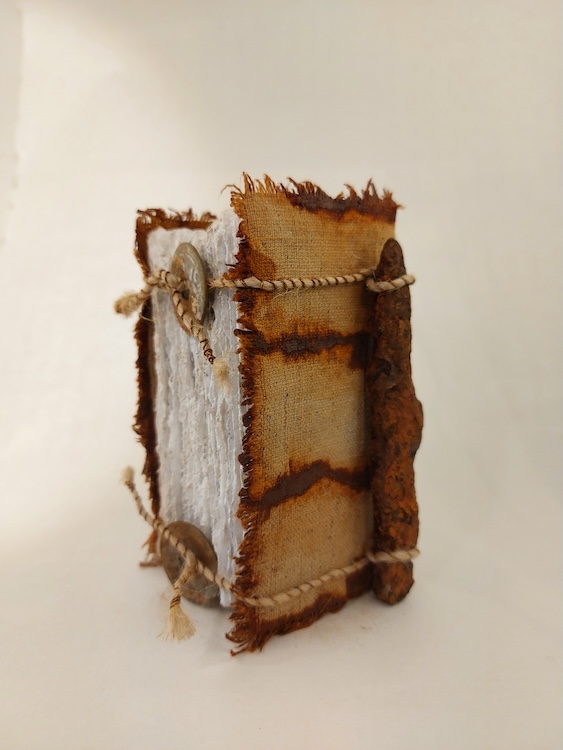 zt2305 - Liesbet Optendrees