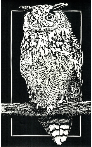 Europese oehoe - Marian Vergouwen