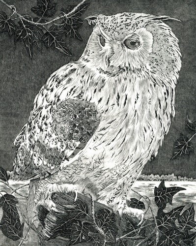 Siberische Oehoe - Marian Vergouwen