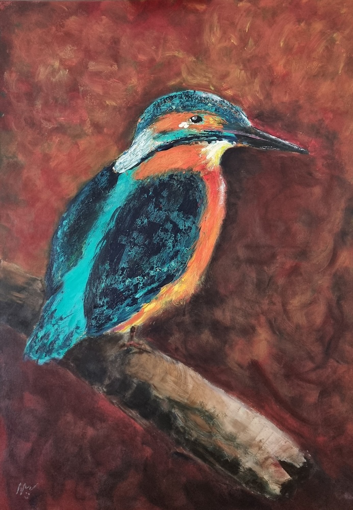 Jonge ijsvogel - Nicole Weddepohl