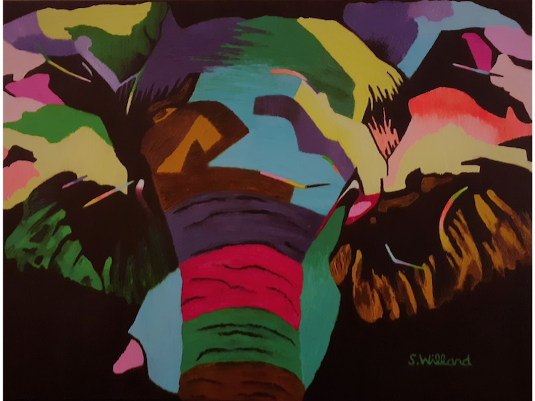 Portret Olifant - Sandra Willard