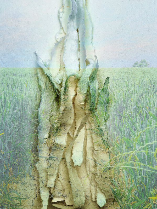 Path - Van Lieshout VI