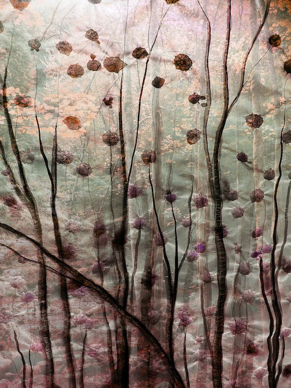 Zenpapers - Van Lieshout VI