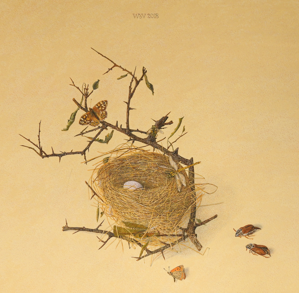 Roodborstnestje - Wilma van der Vliet