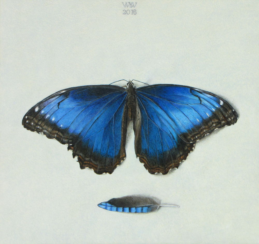 Rhapsodie in blauw - Wilma van der Vliet