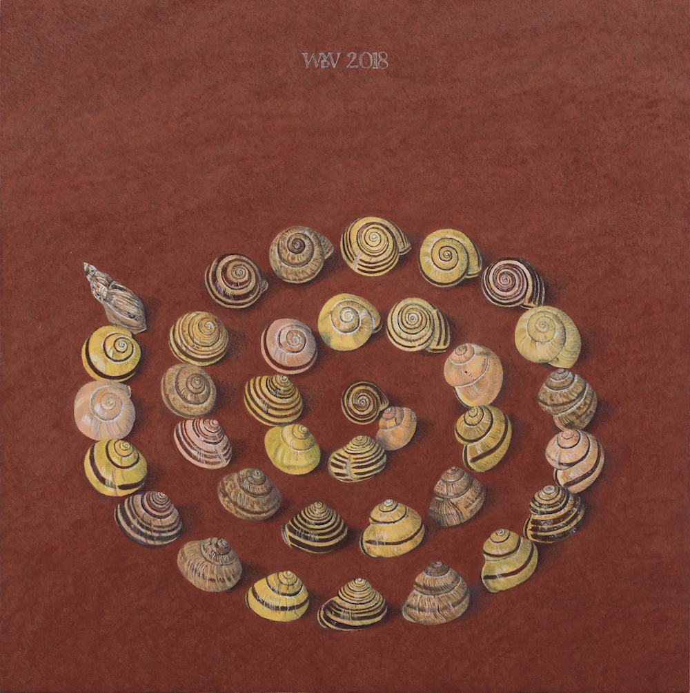 Uit de pas - Wilma van der Vliet