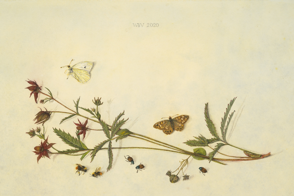 Wateraardbeien - Wilma van der Vliet
