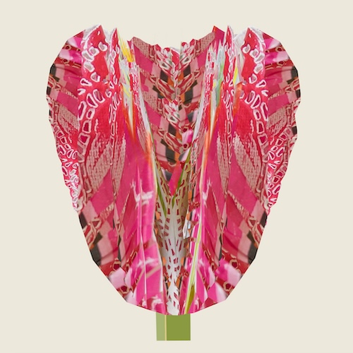 Tulpknop - Yvonne Alting